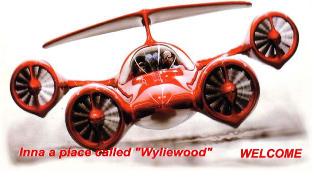 Welcome to wyliewood